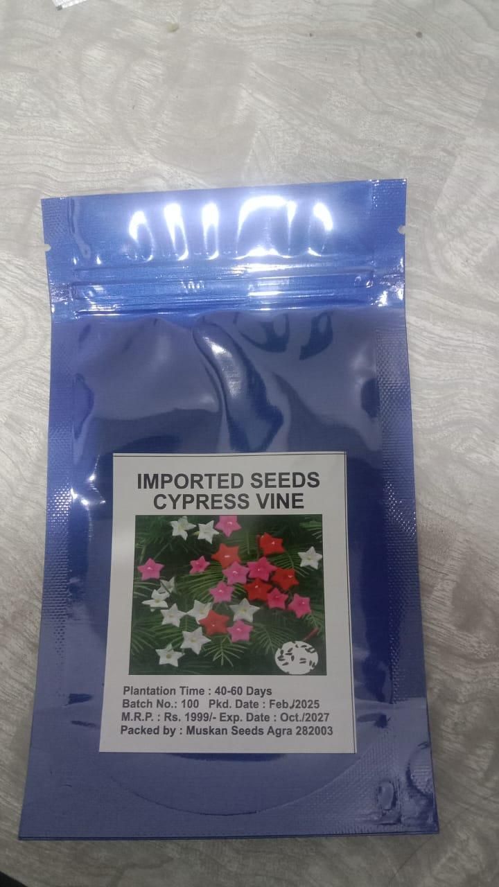 Cypress Vine Plant Seeds