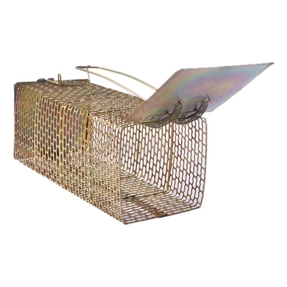 Mouse Trap Iron Cage Pinjra