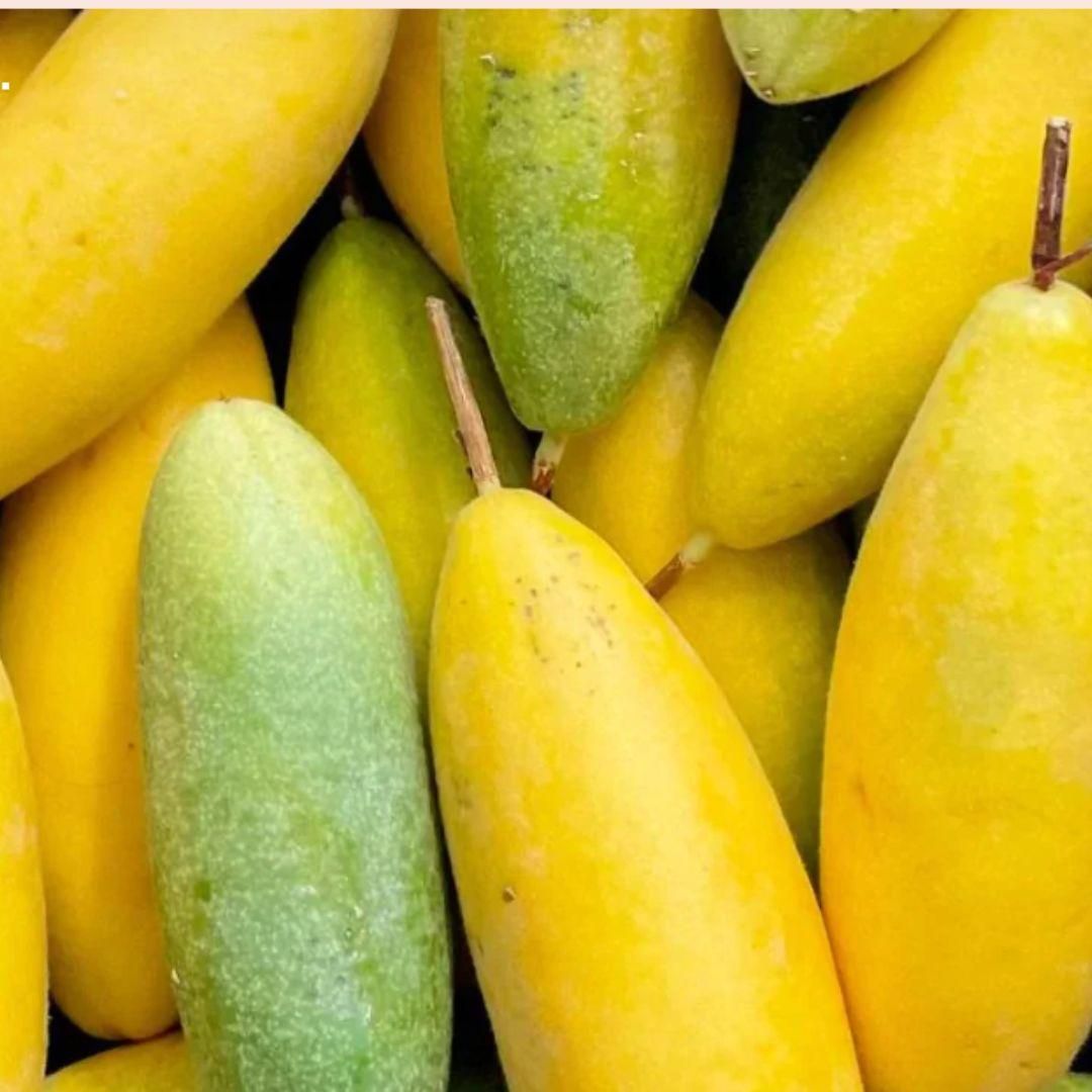 Rare Banana Passion Fruit Seeds