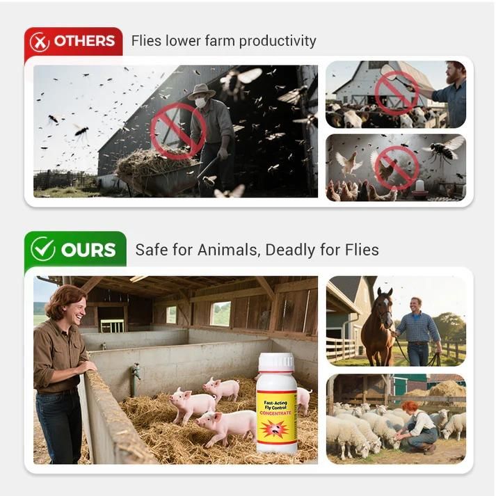 Fast Acting Fly Control Concentrate 200 ml Pack of 2