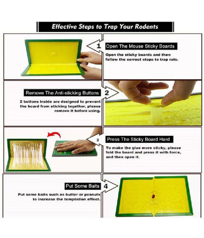 Glue Based Rat Trap (Set of 4)