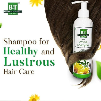 BT Boericke & Tafel B&T Arnica Shampoo (Pack of 2)