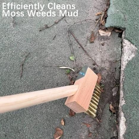 Hard Wire Weed Removal Brush Tool