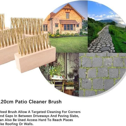 Hard Wire Weed Removal Brush Tool