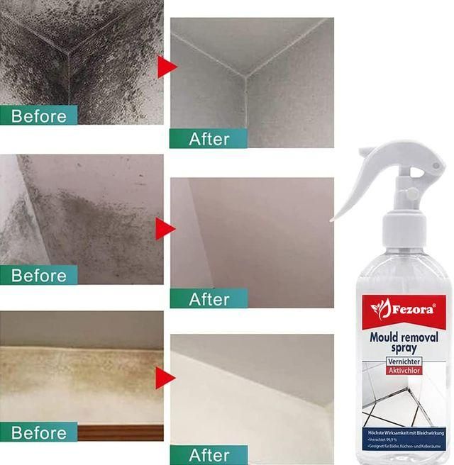 Fezora owerful Mold Remover Spray