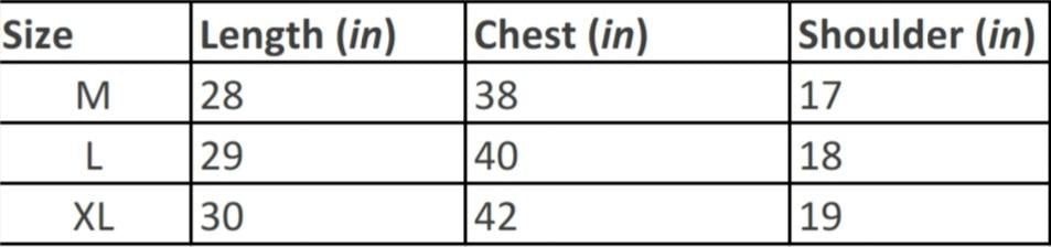 Cotton Solid Regular Fit Shirt