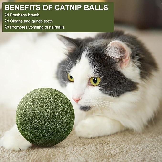 Cat Mint Toy Ball