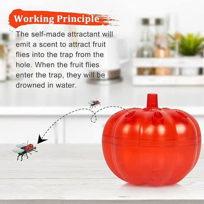 Fruit Fly Trap Pack of  2