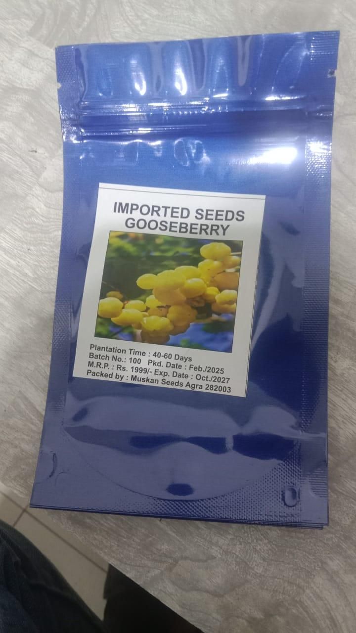Imported Seeds Gooseberry