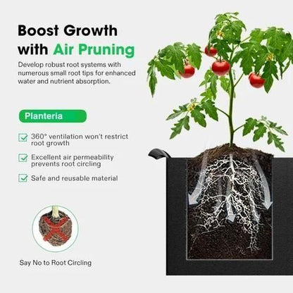 Geofabric Grow Bag for Planting (Pack of 3)