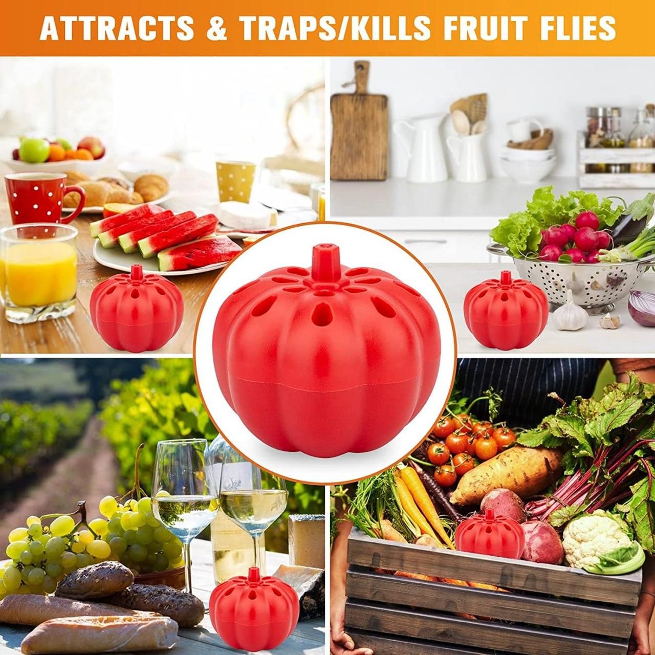 Fruit Fly Trap Pack of  2