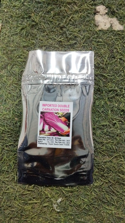 Purple Cabbage Seeds