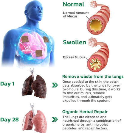 Herbal Lung Cleanse Repair Patch (Pack of 20)