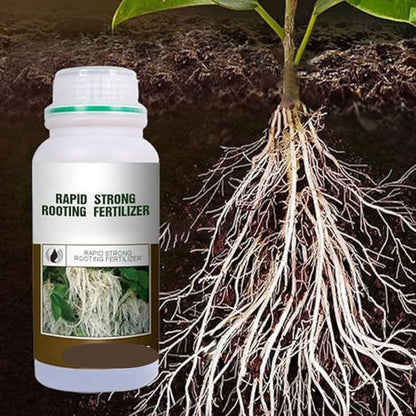 Rapid Strong Rooting Fertilizer 200 gm Pack of 2