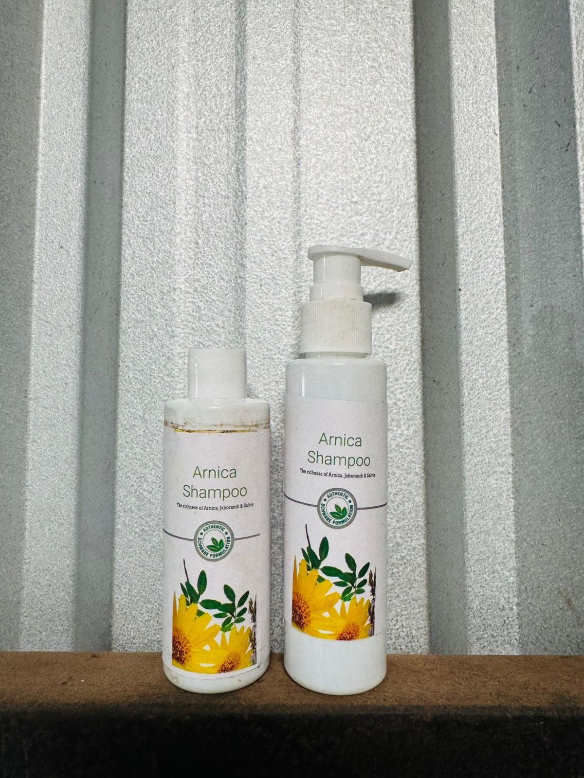 BT Boericke & Tafel B&T Arnica Shampoo (Pack of 2)