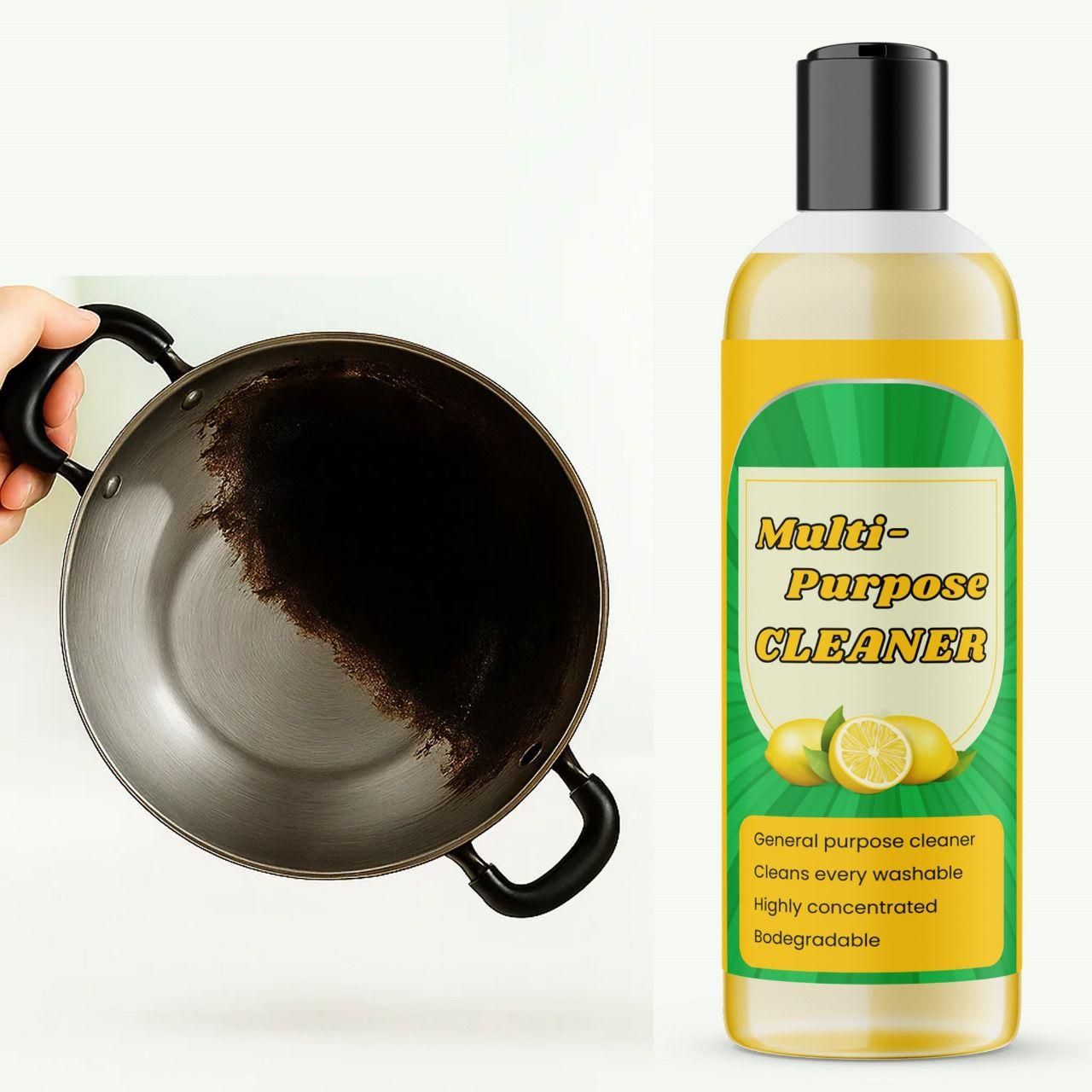 Multi-Purpose Cleaner 100 ml Pack of 1