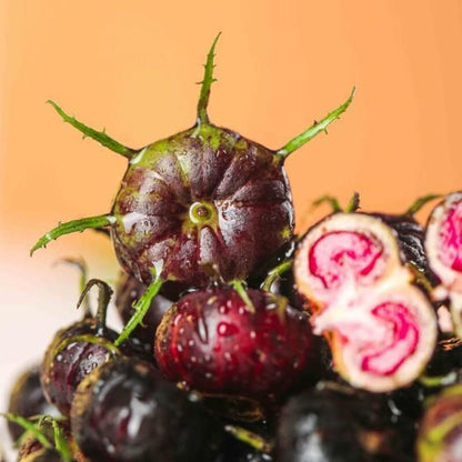 Imported Red Beery Ginseng-Spider Fruit Seeds