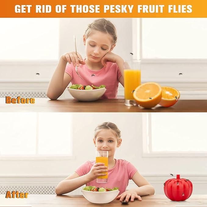 Fruit Fly Trap Pack of  2