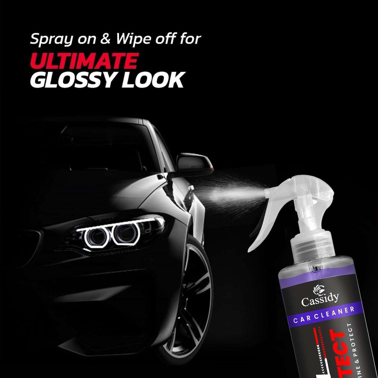 CASSIDY Car Cleaner 100ml (Pack of 1)