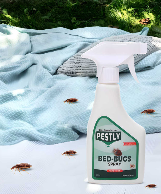 Bed Bugs Kiler Spray��(250 ml)
