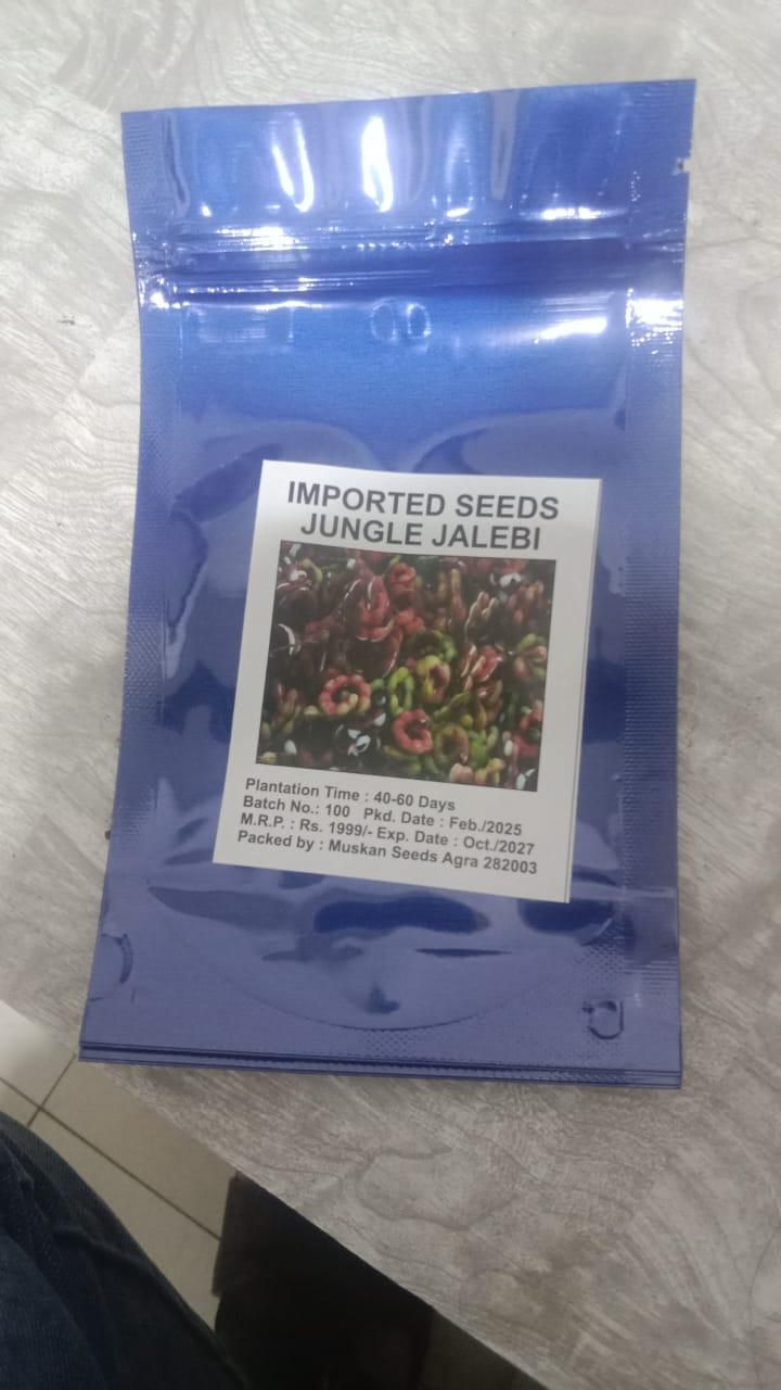 Imported Seeds Jangle Jalebi