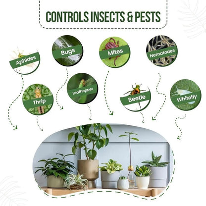 Pure Neem Plant Protection Spray (Buy 1 Get 1 Free)