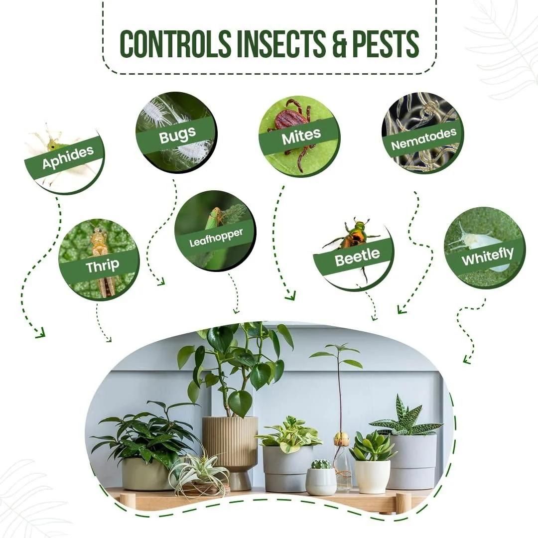 Pure Neem Plant Protection Spray (Buy 1 Get 1 Free)