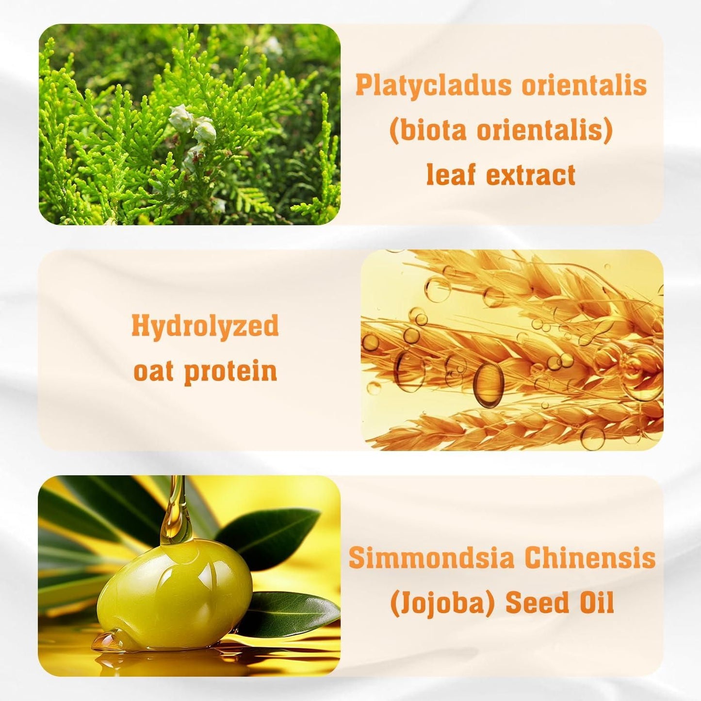 Hair Loss Treatment Shampoo 100ml