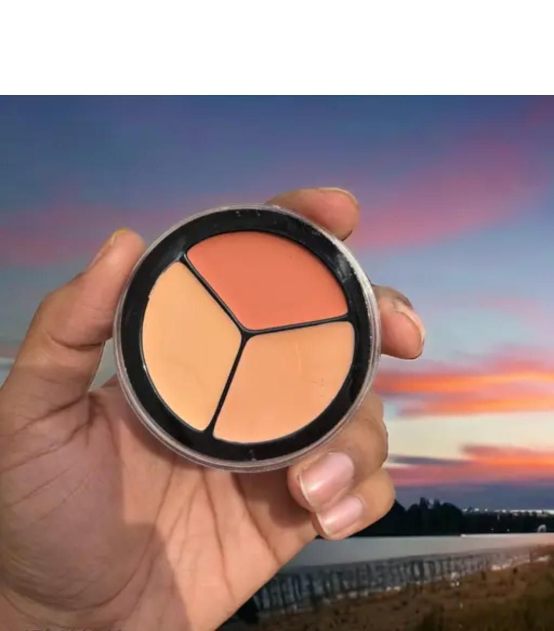 Full Cover Up Pro Concealer Palette (Pack of 2)