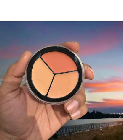 Full Cover Up Pro Concealer Palette (Pack of 2)