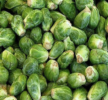 Nema organic brussels sprouts seeds