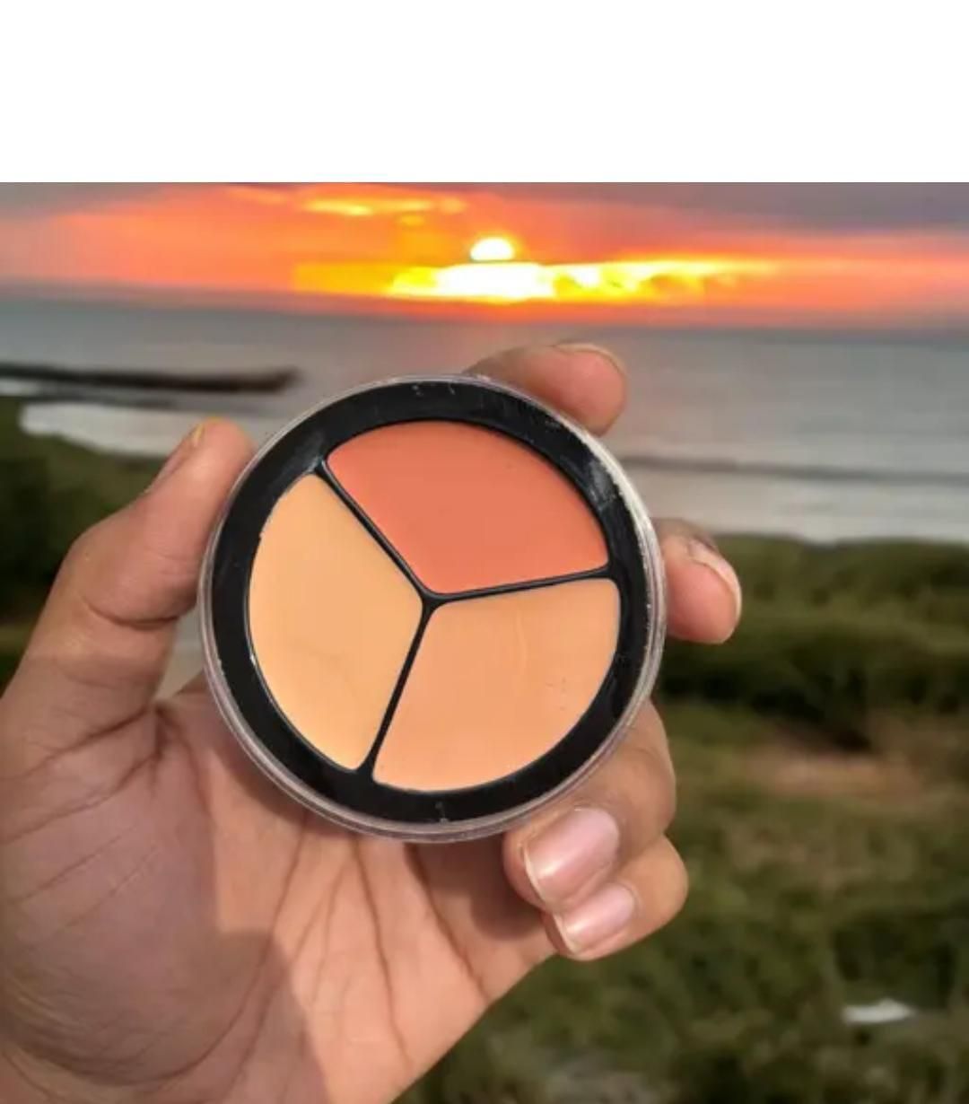 Full Cover Up Pro Concealer Palette (Pack of 2)