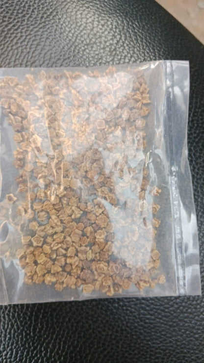 Organic Cabbage seeds for Gardening (Pack of 20)