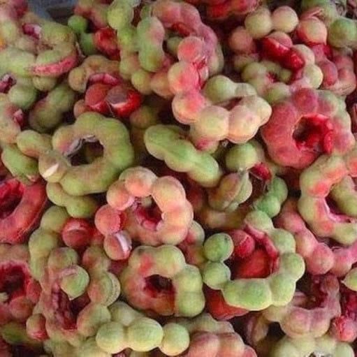 Imported Seeds Jangle Jalebi