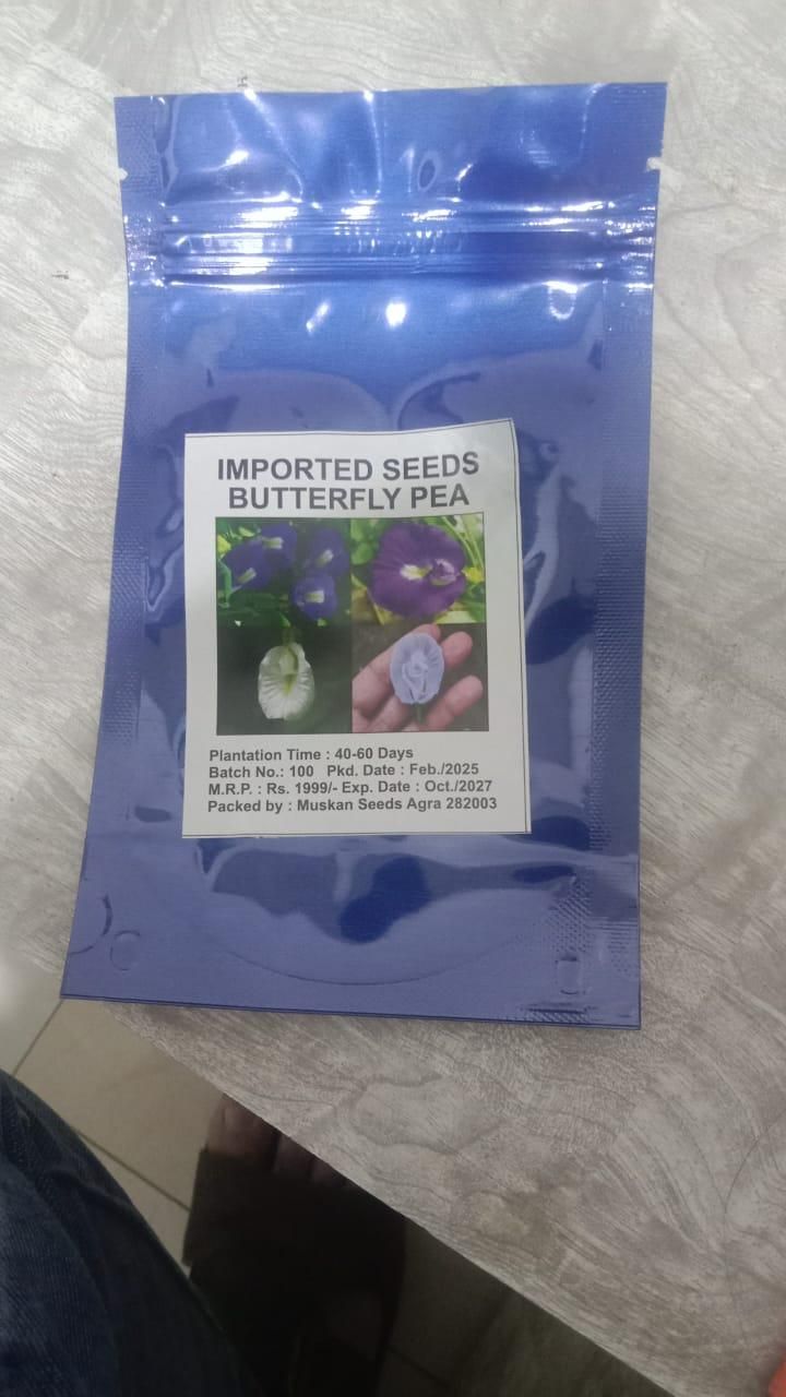 Butterfly Pea Flower Seeds