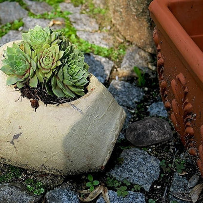 Hide A Spare Key Outside Fake Rock