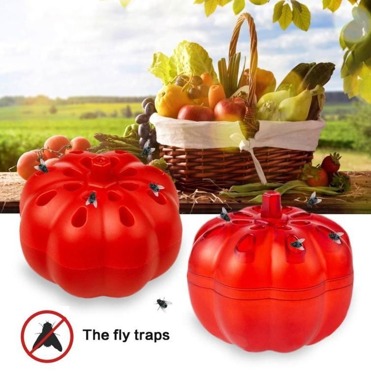 Fruit Fly Trap Pack of  2