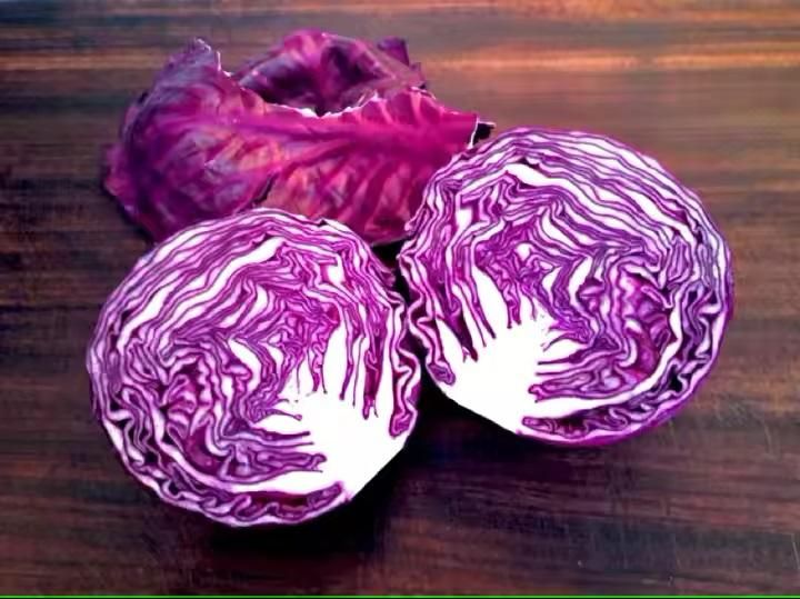 Organic Cabbage seeds for Gardening (Pack of 20)