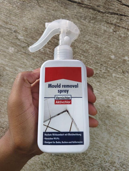 Fezora owerful Mold Remover Spray