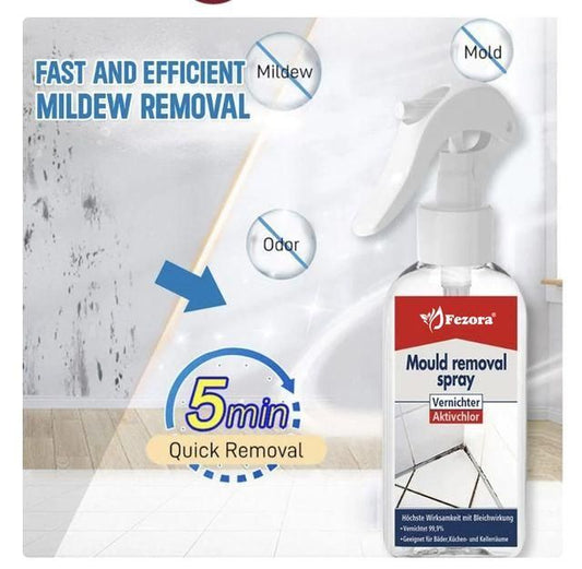 Fezora owerful Mold Remover Spray
