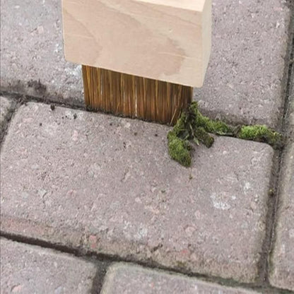 Hard Wire Weed Removal Brush Tool