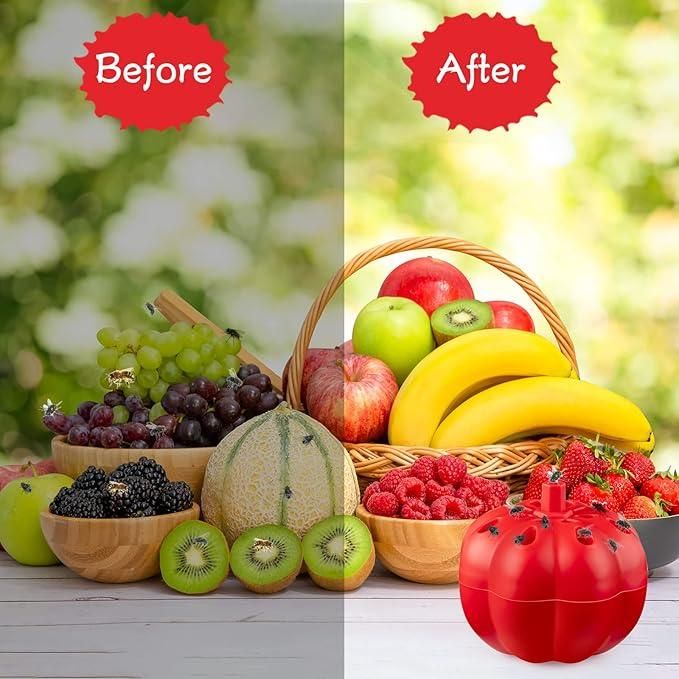 Fruit Fly Trap Pack of  2