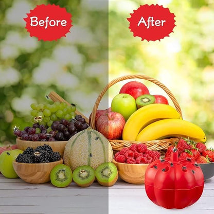 Fruit Fly Trap Pack of  2